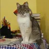 Отзыв от Алла Лукьянова